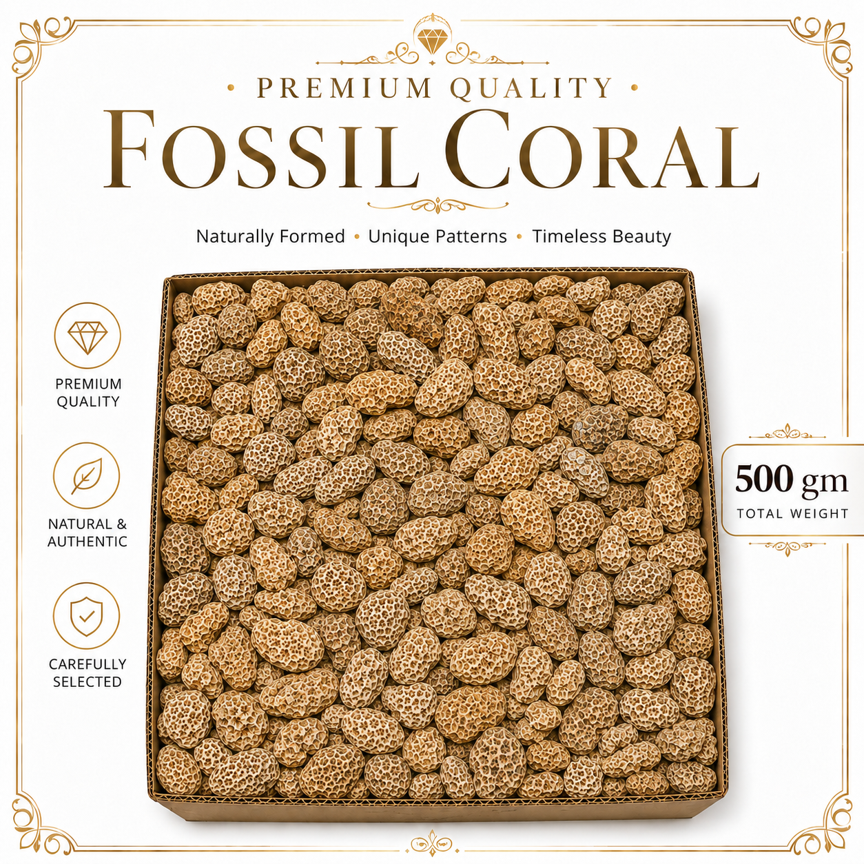 Fossil Coral Raw Stone - 500 gm