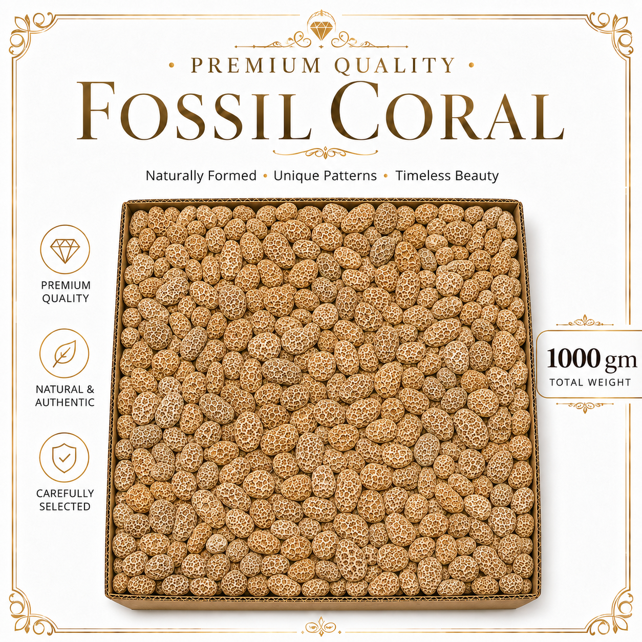 Fossil Coral Raw Stone - 1000 gm