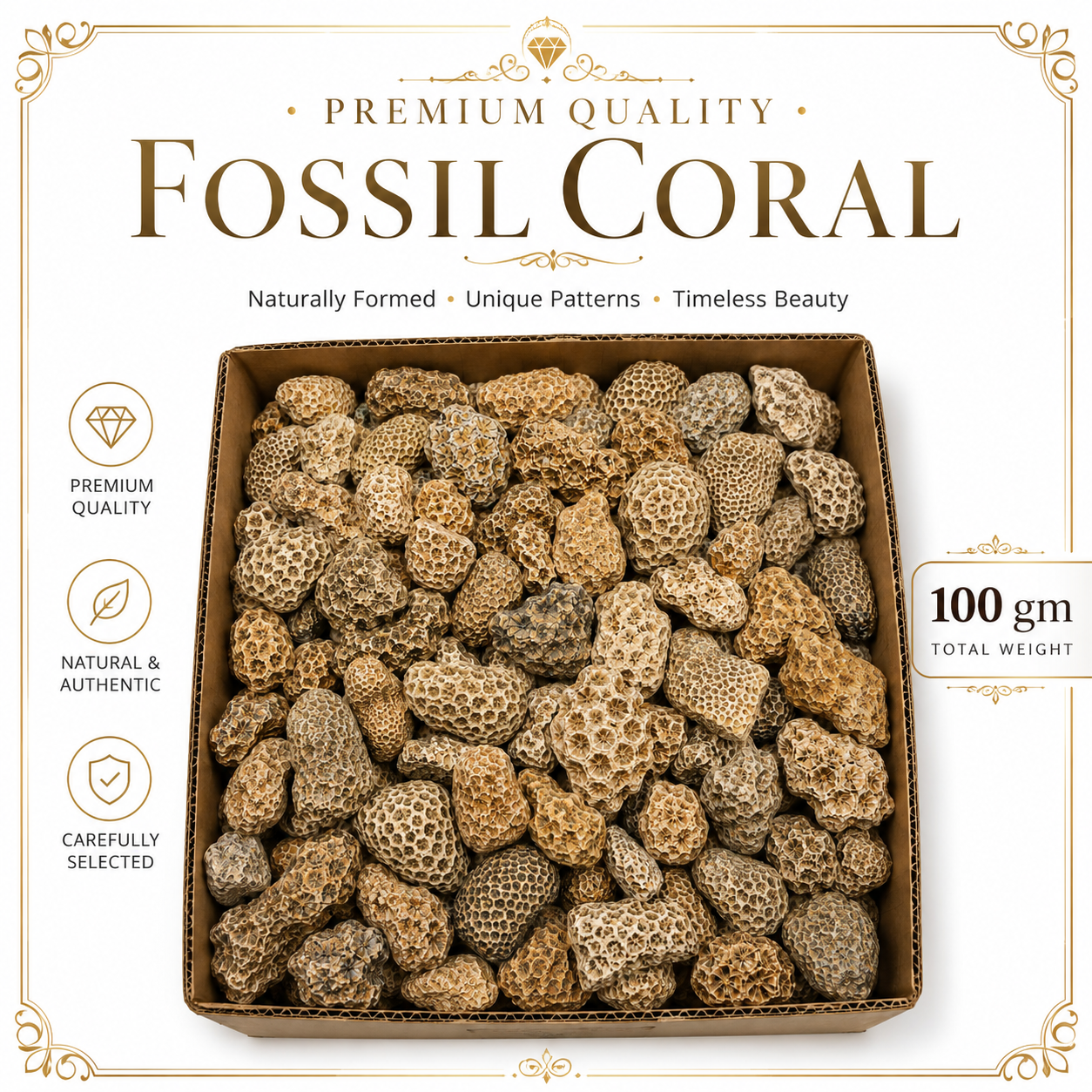 Fossil Coral Raw Stone | Natural Fossilized Coral Gemstone Pieces | Ancient Ocean Pattern Mineral for Decor, Collection, Meditation and Gifting