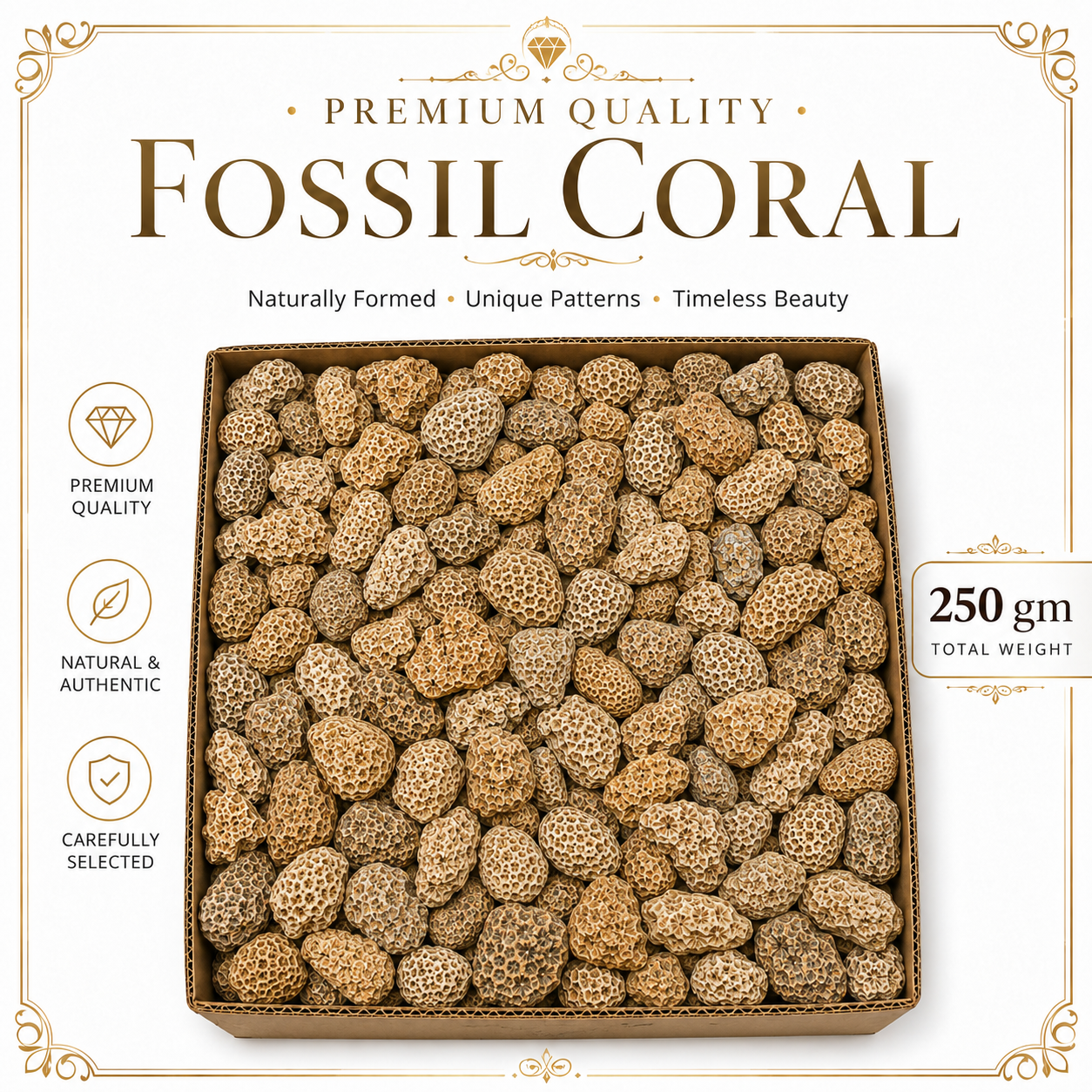 Fossil Coral Raw Stone - 250 gm