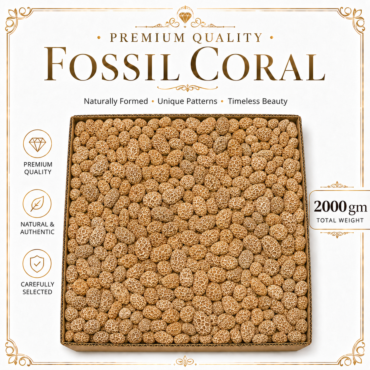 Fossil Coral Raw Stone - 2000 gm